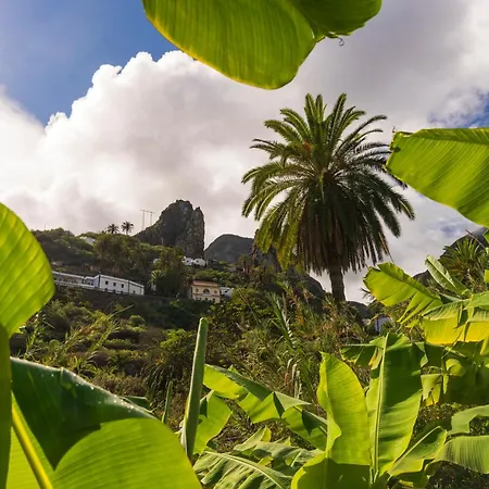 Banana Garden Apartment